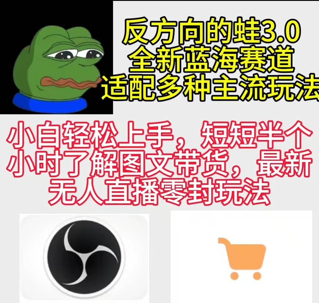 反方向的蛙3.0，图文最新玩法，变现多元化，新蓝海项目，小白轻松上手-金创谷