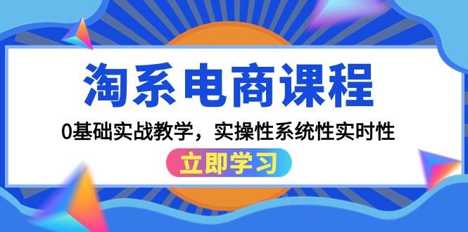 淘系电商课程，0基础实战教学，实操性系统性实时性（15节课）-金创谷