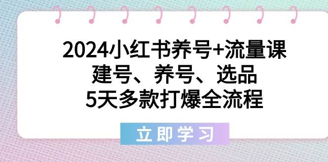 2024小红书养号+流量课：建号、养号、选品，5天多款打爆全流程-金创谷