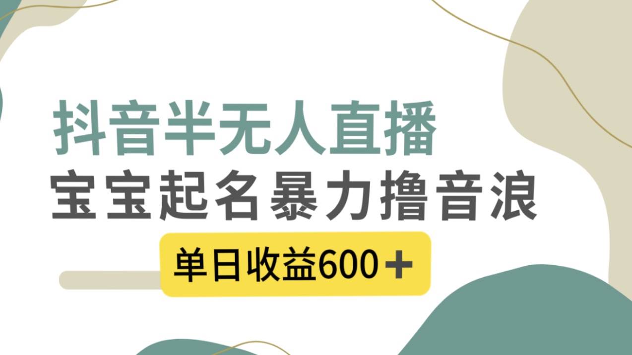 抖音半无人直播，宝宝起名，暴力撸音浪，单日收益600+-金创谷