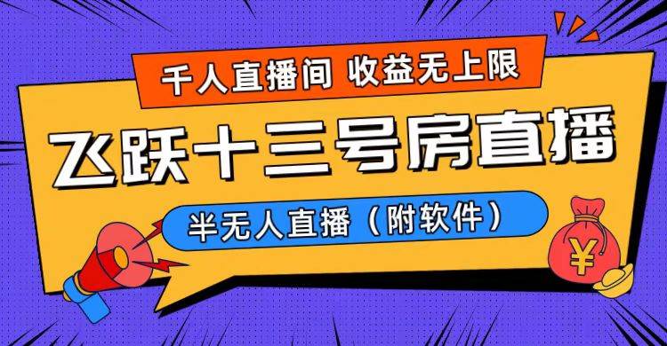 爆火飞跃十三号房半无人直播，一场直播上千人，日入过万！（附软件）-金创谷