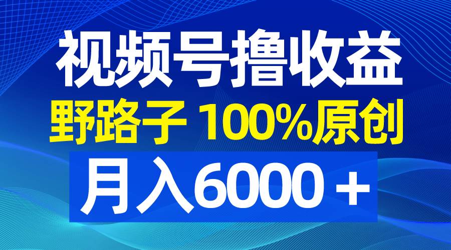 视频号野路子撸收益，100%原创，条条爆款，月入6000＋-金创谷
