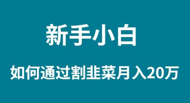 新手小白如何通过割韭菜月入 20W-金创谷
