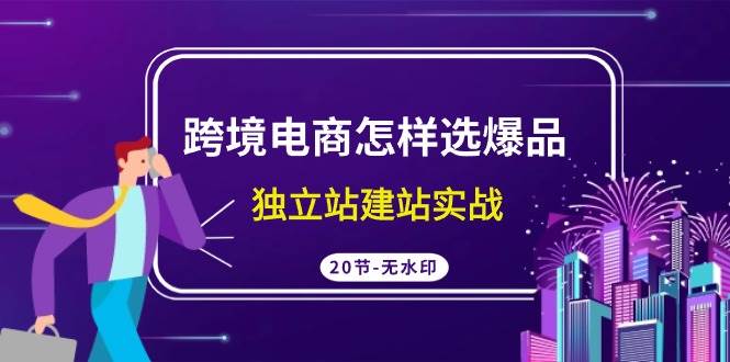 跨境电商怎样选爆品，独立站建站实战（20节高清无水印课）-金创谷