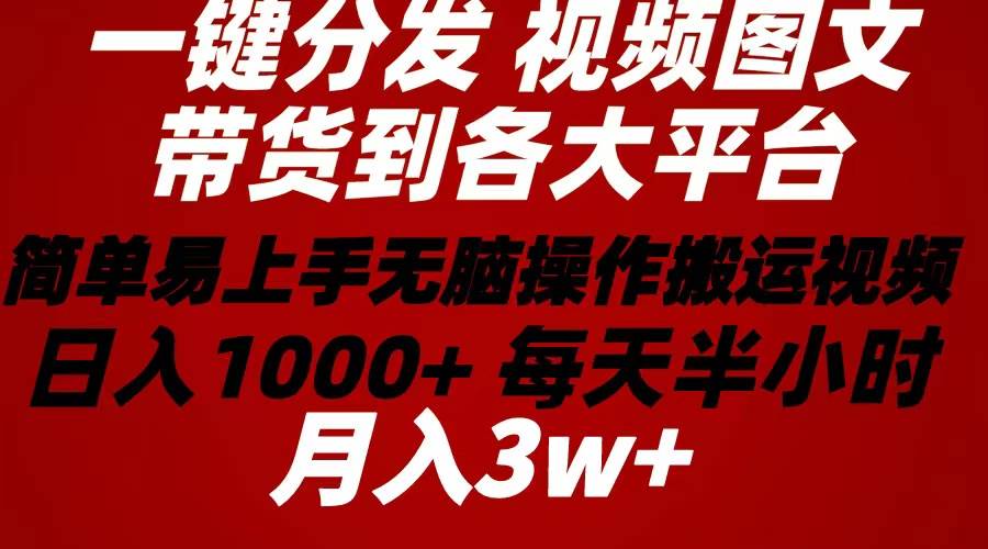 2024年 一键分发带货图文视频  简单易上手 无脑赚收益 每天半小时日入1…-金创谷