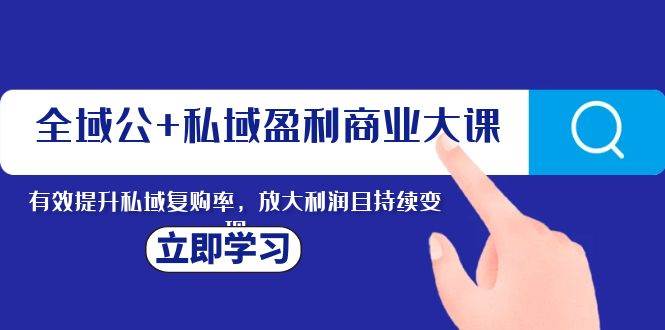 全域公+私域盈利商业大课，有效提升私域复购率，放大利润且持续变现-金创谷