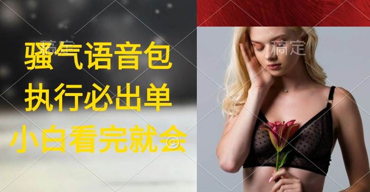 执行就出单，日入2000+，超火骚气语音包，小白看完课程就能马上实操-金创谷