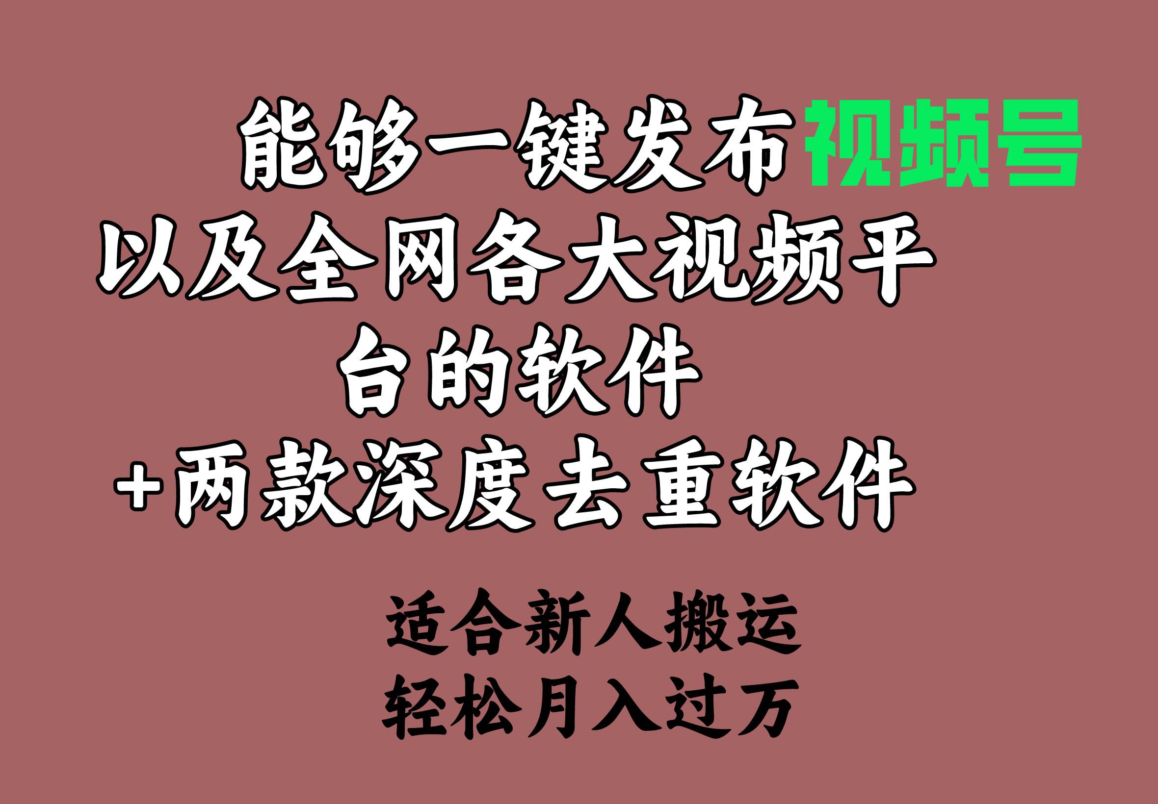 能够一键发布视频号以及全网各大视频平台的软件+两款深度去重软件 适合…-金创谷