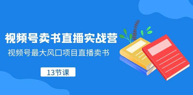 视频号-卖书直播实战营，视频号最大风囗项目直播卖书（13节课）-金创谷