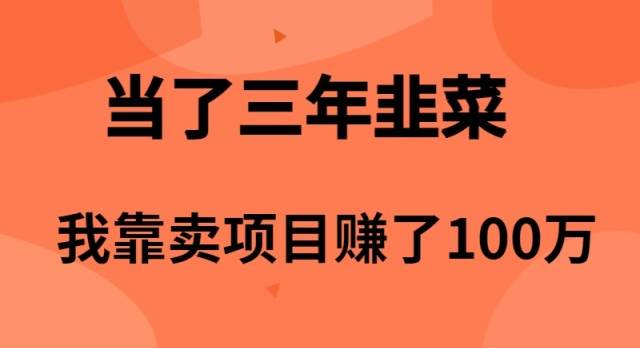 当了3年韭菜，我靠卖项目赚了100万-金创谷