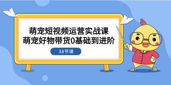 萌宠·短视频运营实战课：萌宠好物带货0基础到进阶（38节课）-金创谷
