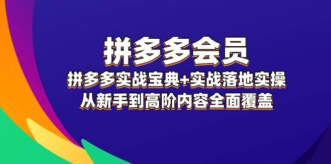 拼多多 会员，拼多多实战宝典+实战落地实操，从新手到高阶内容全面覆盖-金创谷
