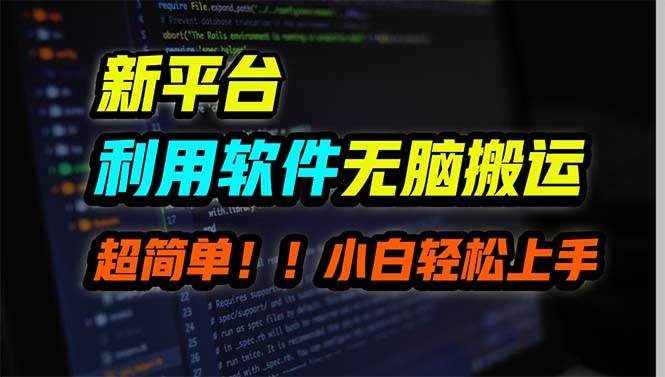 新平台用软件无脑搬运，月赚10000+，小白也能轻松上手-金创谷