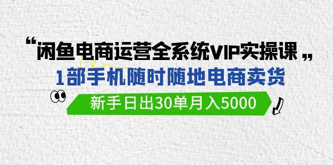 闲鱼电商运营全系统VIP实战课，1部手机随时随地卖货，新手日出30单月入5000-金创谷