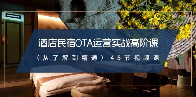 酒店民宿-OTA运营实战高阶课（从了解到精通）45节视频课-金创谷