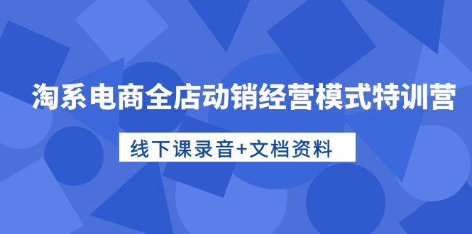 淘系电商全店动销经营模式特训营，线下课录音+文档资料-金创谷
