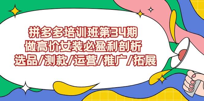 拼多多培训班第34期：做高价女装必盈利剖析  选品/测款/运营/推广/拓展-金创谷