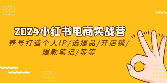 2024小红书电商实战营，养号打造IP/选爆品/开店铺/爆款笔记/等等（24节）-金创谷
