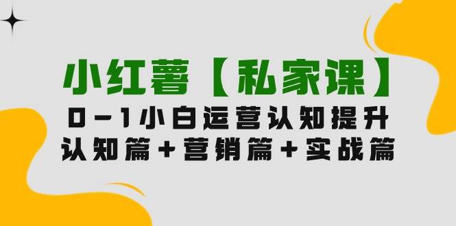 小红薯【私家课】0-1玩赚小红书内容营销，认知篇+营销篇+实战篇（11节课）-金创谷