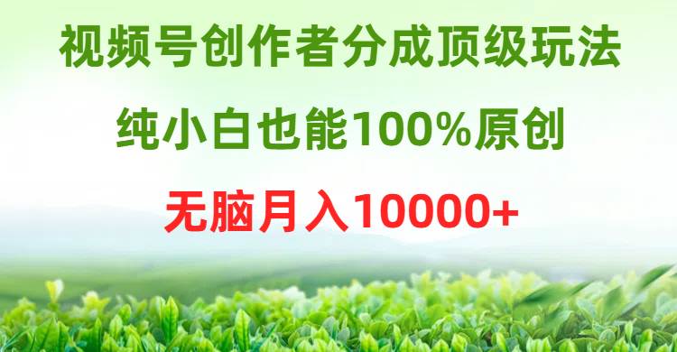 视频号创作者分成顶级玩法，纯小白也能100%原创，无脑月入10000+-金创谷