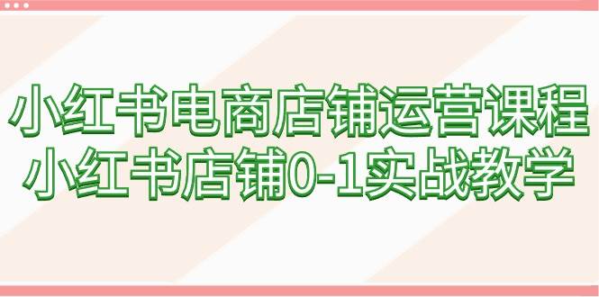 小红书电商店铺运营课程，小红书店铺0-1实战教学（60节课）-金创谷