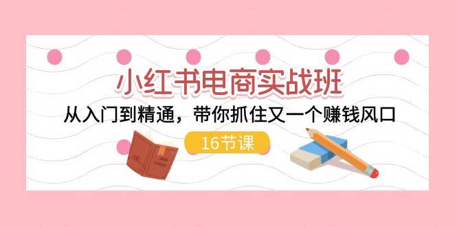 小红书电商实战班，从入门到精通，带你抓住又一个赚钱风口（16节）-金创谷