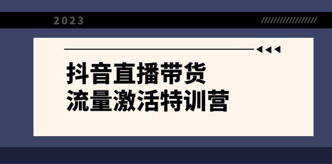 抖音直播带货-流量激活特训营，入行新手小白主播必学（21节课+资料）-金创谷