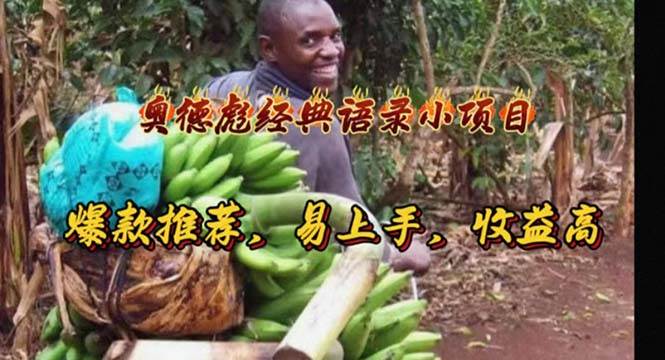 奥德彪经典语录小项目，爆款推荐，易上手，收益高-金创谷