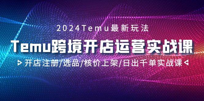 2024Temu跨境开店运营实战课，开店注册/选品/核价上架/日出千单实战课-金创谷