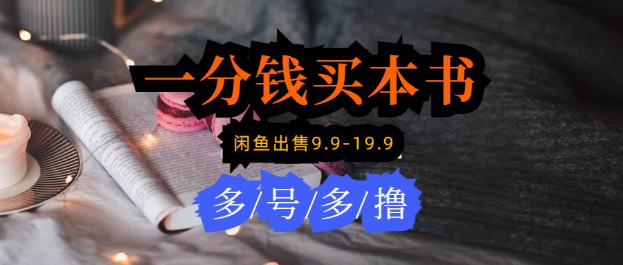 每天花1分钱买一本书，闲鱼出售9.9-19.9不等，多账号多撸 新手小白均可操作-金创谷