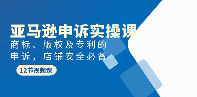 亚马逊-申诉实战课，商标、版权及专利的申诉，店铺安全必备-金创谷