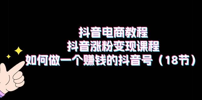 抖音电商教程：抖音涨粉变现课程：如何做一个赚钱的抖音号（18节）-金创谷