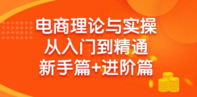 电商理论与实操从入门到精通 新手篇+进阶篇-金创谷