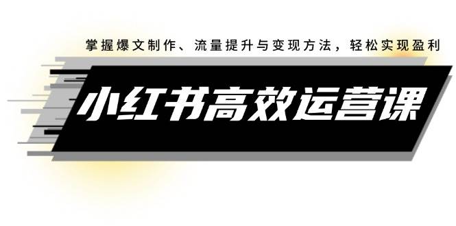小红书高效运营课：掌握爆文制作、流量提升与变现方法，轻松实现盈利-金创谷