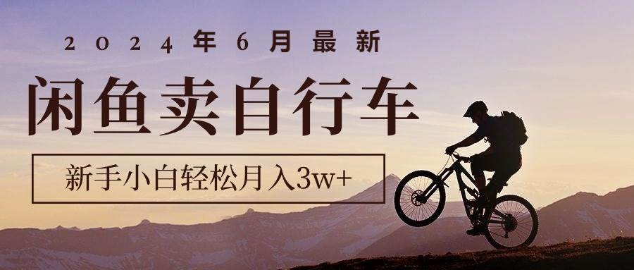 2024年6月最新闲鱼卖自行车，新手小白轻松月入3w+项目-金创谷
