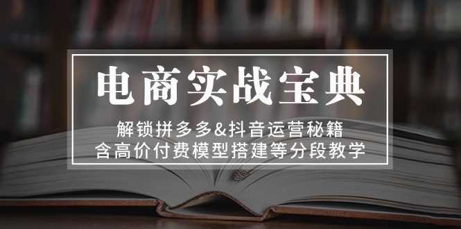 电商实战宝典 解锁拼多多&抖音运营秘籍 含高价付费模型搭建等分段教学-金创谷