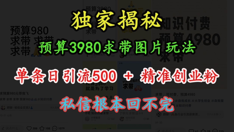 预算3980求带 图片玩法，单条日引流500+精准创业粉，私信根本回不完-金创谷