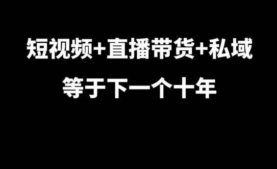 短视频+直播带货+私域等于下一个十年，大佬7年实战经验总结-金创谷