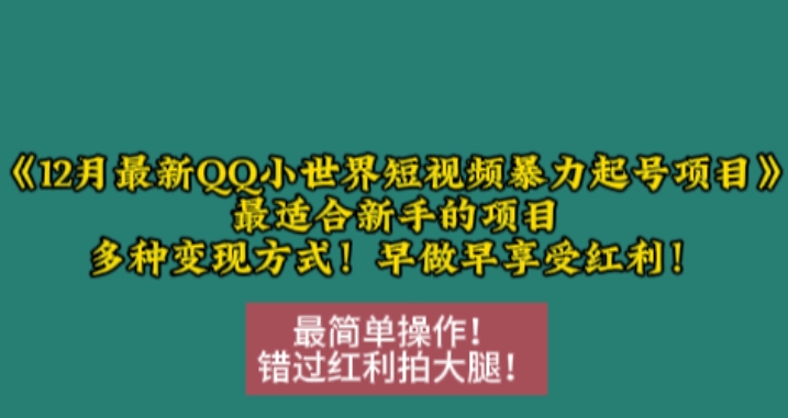 12月最新QQ小世界短视频暴力起号项目，最适合新手的项目，多种变现方式-金创谷