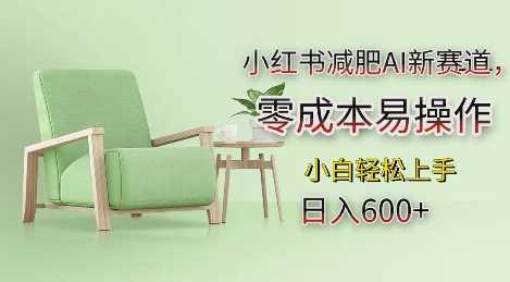 小红书减肥AI新赛道，零成本易操作，日入多张，小白轻松上手【揭秘】-金创谷