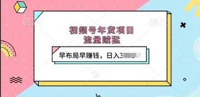 视频号年货项目，流量贼猛，早布局早挣钱，日入上k【揭秘】-金创谷