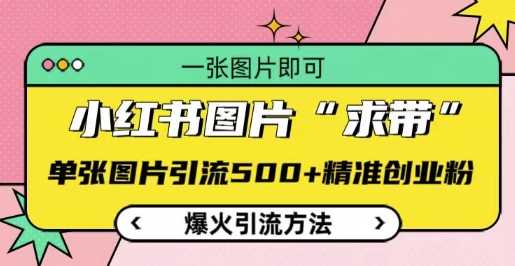 小红书图片‘求带’爆火引流法，单张图片引流500+精准创业粉【揭秘】-金创谷
