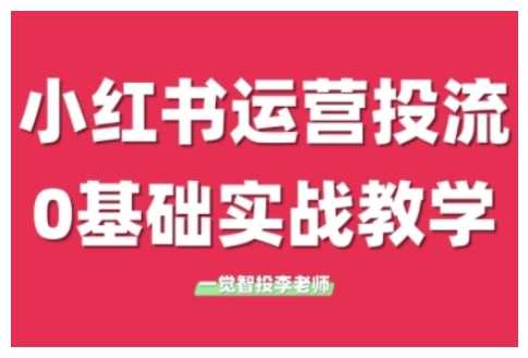 小红书运营投流，小红书广告投放从0到1的实战课，学完即可开始投放-金创谷