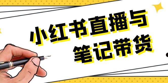 小红书直播与笔记带货：选品、上架、笔记写作、视频剪辑及直播话术等-金创谷