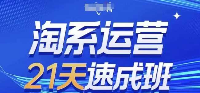 淘系运营21天速成班(更新24年12月)，0基础轻松搞定淘系运营，不做假把式-金创谷