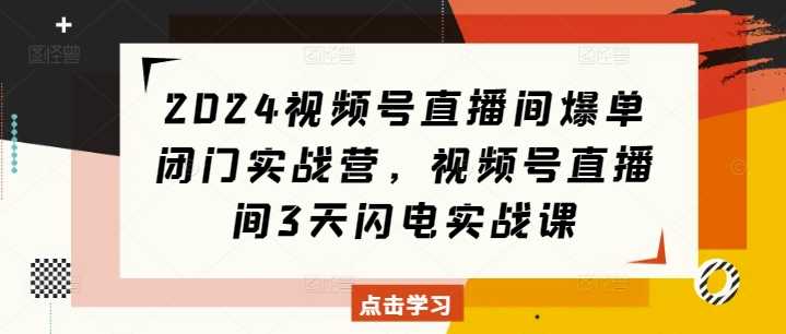 2024视频号直播间爆单闭门实战营，视频号直播间3天闪电实战课-金创谷