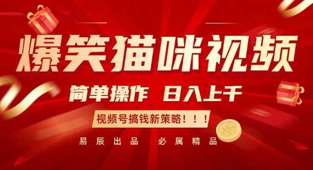 爆笑猫咪视频：简单操作，日入过K，视频号搞钱新策略【揭秘】-金创谷