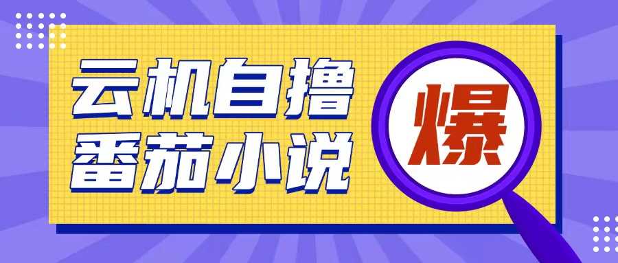 首发云手机自撸小说玩法，10块钱成本可撸200+收益操作简单【揭秘】-金创谷