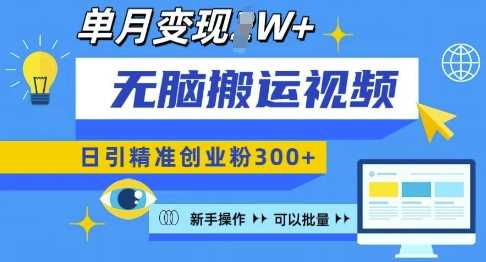 无脑搬运视频号可批量复制，新手即可操作，日引精准创业粉300+，月变现过W 【揭秘】-金创谷