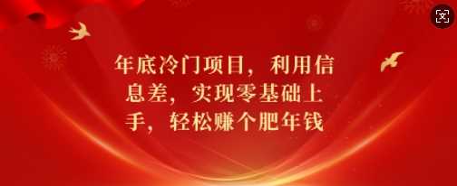 年底冷门项目，利用信息差，实现零基础上手，轻松赚个肥年钱【揭秘】-金创谷